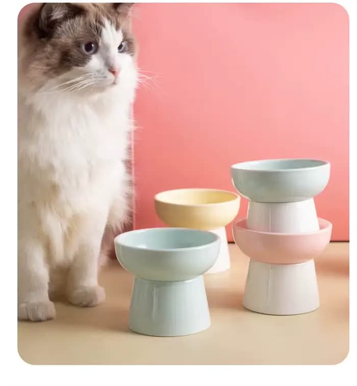 1 bol pour chat, bol pour nourriture pour chat