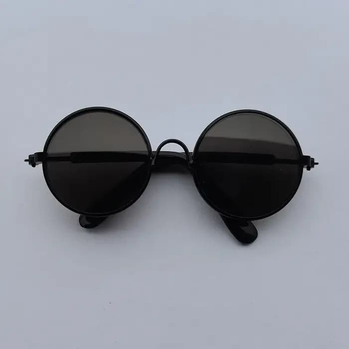 Jolies lunettes de soleil rondes Vintage pour animaux de compagnie