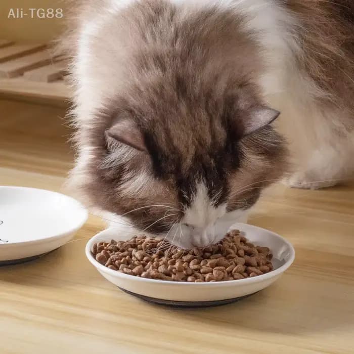 Bol d'alimentation en céramique pour chatons ; Plateau antidérapant pour chat de compagnie ; Support de coussin en