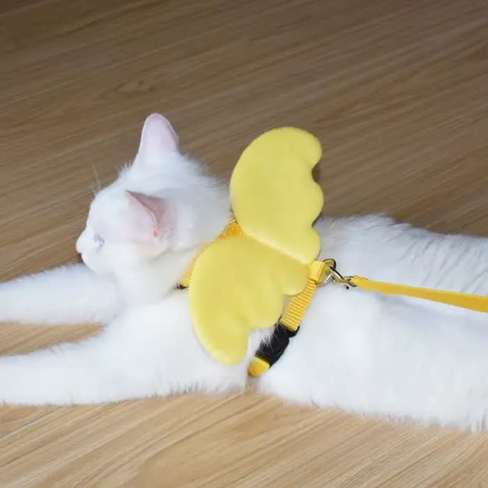 Ensemble harnais et laisse ailes d'ange pour animaux de compagnie, pour chats, chiots, lapin, mignon