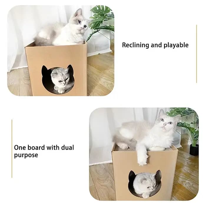 Planche à gratter pour maison de chat, maison pliante pour animaux de compagnie avec tampons à gratt