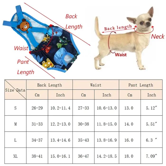 Culottes physiologiques pour animaux de compagnie, motif dessin animé, pour chats et chiens de petit
