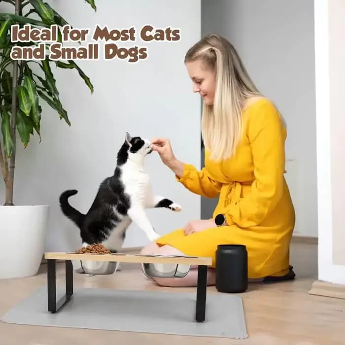 Ensemble de gamelles surélevées et inclinées pour chat avec tapis antidérapant