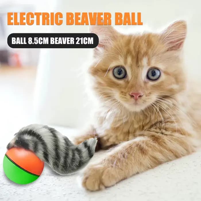 Balle roulante électrique pour animaux de compagnie