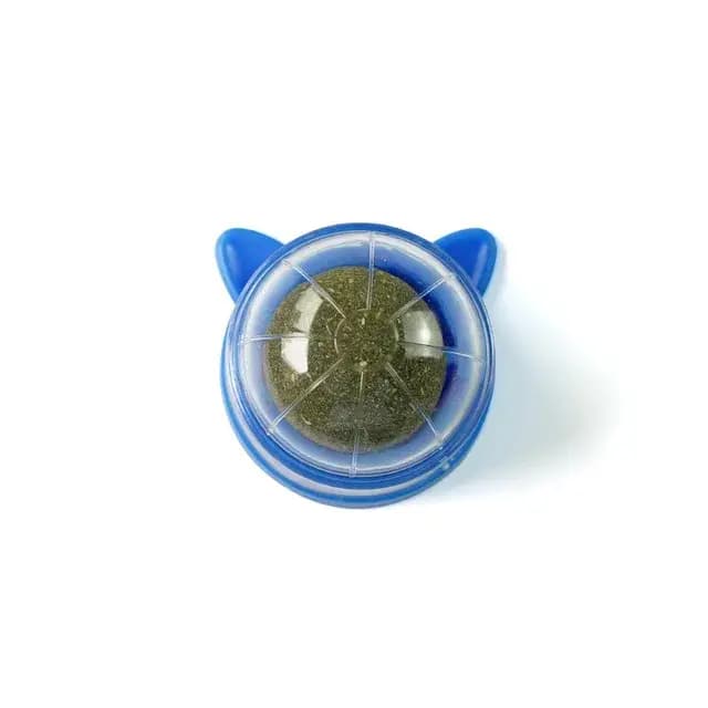 Tirets pour animaux de compagnie chat sain herbe-aux-chats jouets balle