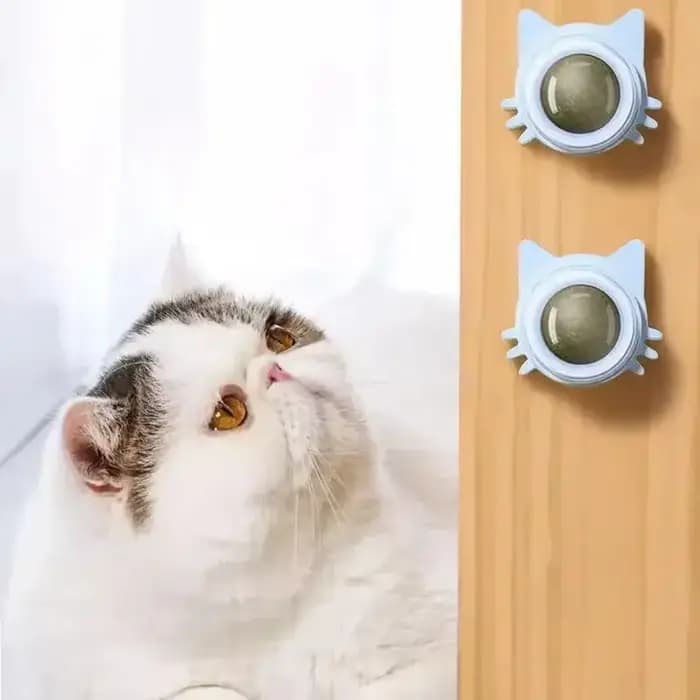 Boules d'herbe à chat, jouets à mâcher dentaires amusants et léchables pour chatons