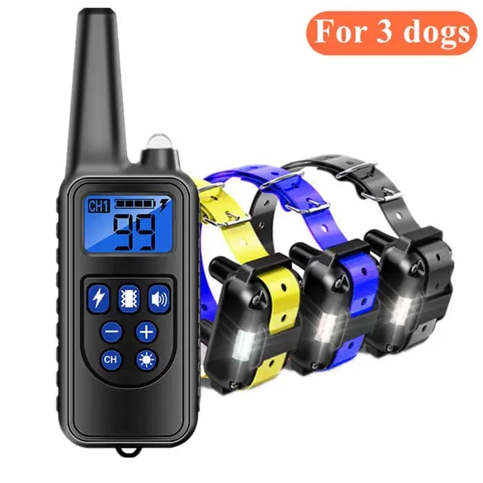 Dispositif de collier de dressage pour chien