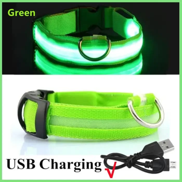 3 Modes chien collier de Charge lumineux Led Usb chat chiens colliers détachable nuit Led lueur
