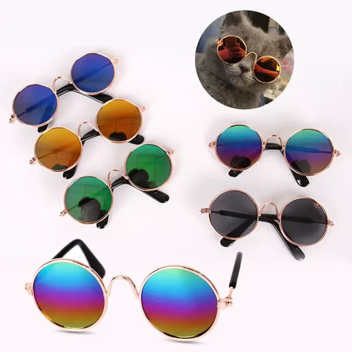 Lunettes rondes Vintage pour animaux de compagnie, accessoires pour chats, accessoires de Photos pou