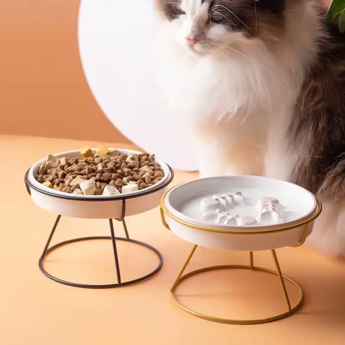 Filles en céramique pour chat, protection du cou des pieds hauts, bols de nourriture pour animaux de compagnie de grand diamètre, bol plat pour visage, assiettes à collation, bol de nourriture lente,
