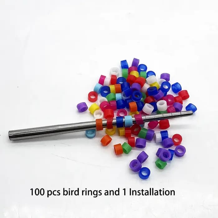 100 pièces anneau d'oiseau bandes de jambe pour perroquet Finch canari Gouldian diamètre 3mm 4mm 5mm 2mm
