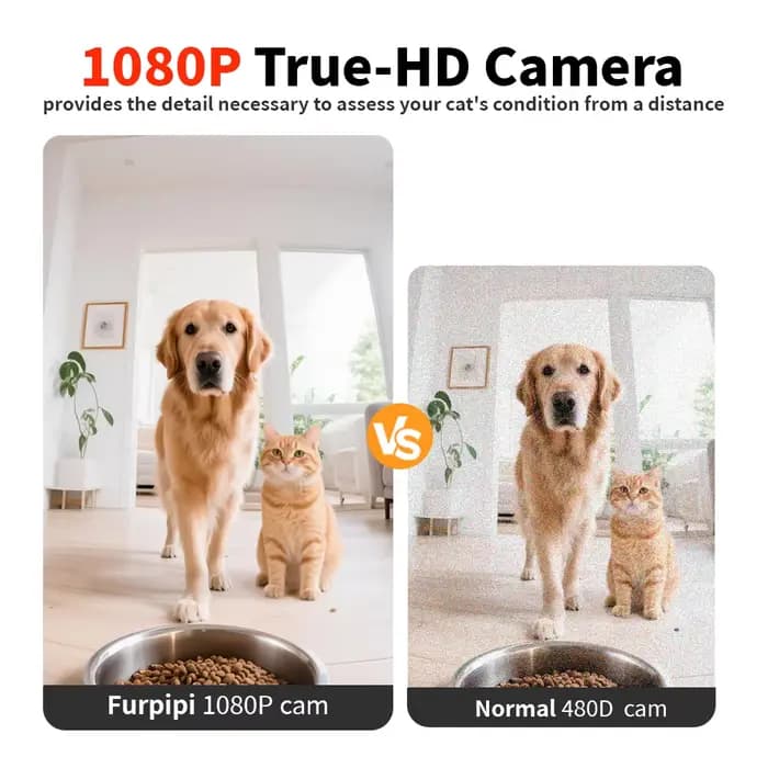 Furpipi 8L mangeoires automatiques intelligentes pour chat avec caméra HD 1080P 5G WiFi mangeoire pour animaux de