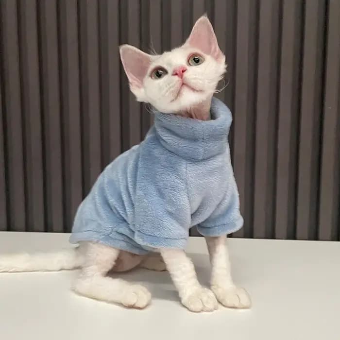 Vêtements à la mode pour chats Sphynx chat pull chaton