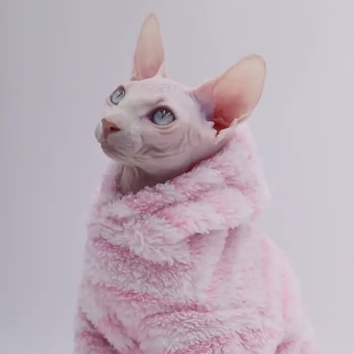 Cardigan en laine de vison pour animaux de compagnie, veste épaisse pour chat Sphinx, vêtements sans