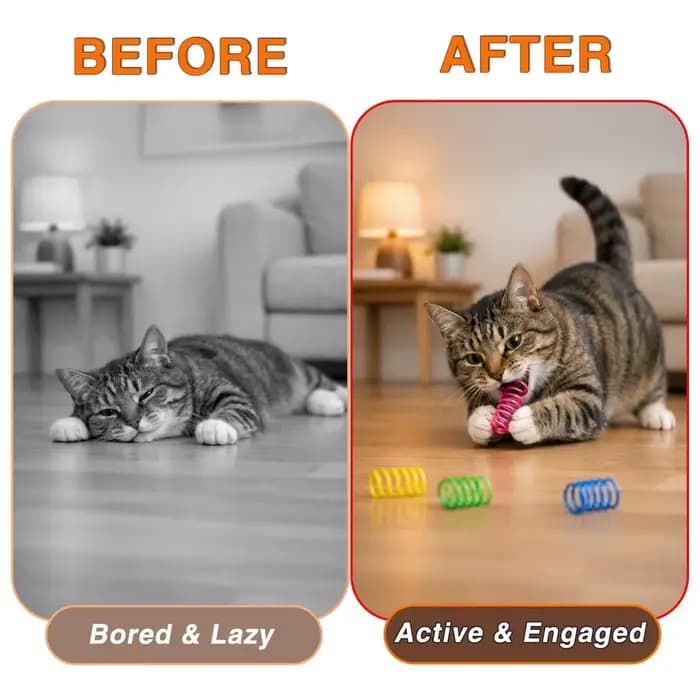 Jouet à ressort pour chat (lot de 24 pièces), ressort en spirale en plastique pour jouets pour chat, utilisé pour tapoter, mordre, chasser et jouer activement et sainement
