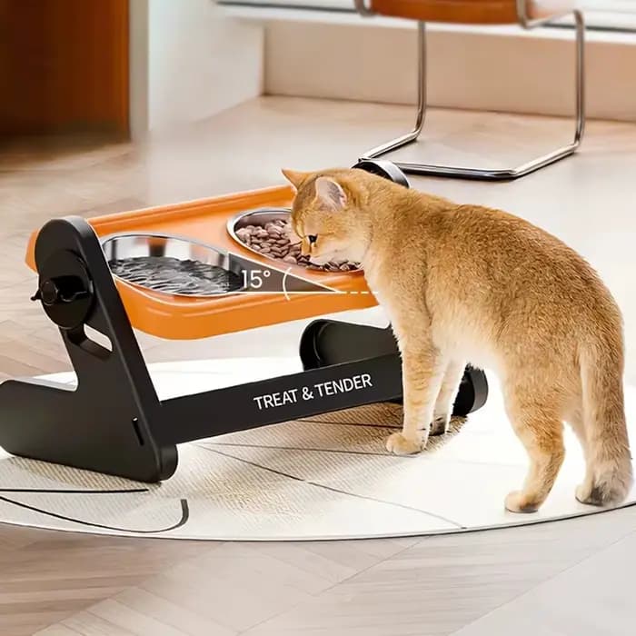 Bol pour chat surélevé réglable avec support, gamelle d'eau pour animaux de compagnie, pour chats et chiots, fournitures pour animaux