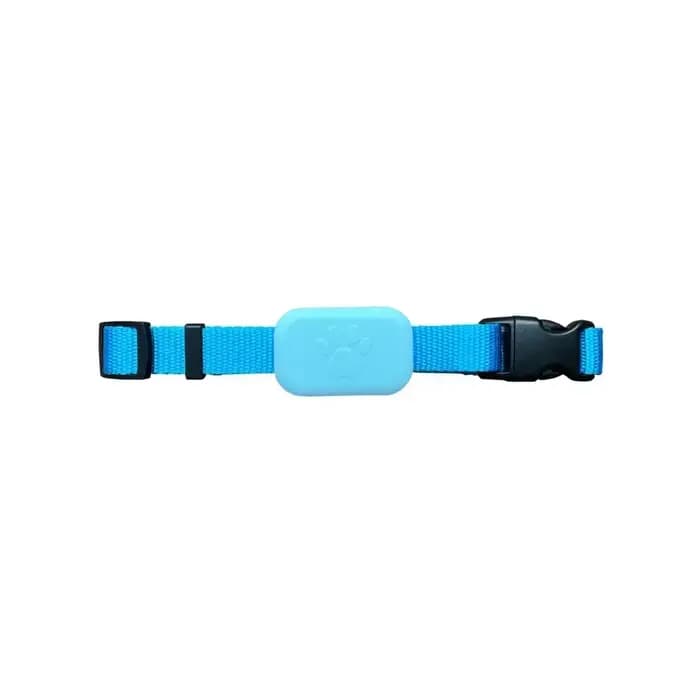 Localisateur intelligent d'animaux de compagnie, Bluetooth, pour Iphone IOS, étanche, Anti-perte, collier de suivi de localisation, chats et chiens, localisation