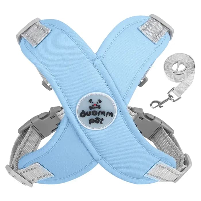 Ensemble Harnais et Laisse pour Chien