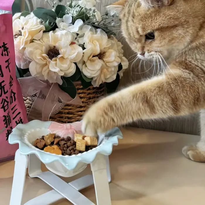 Bols pour chat d'amour bol en céramique de grand calibre animaux de compagnie chiots mignons chatons