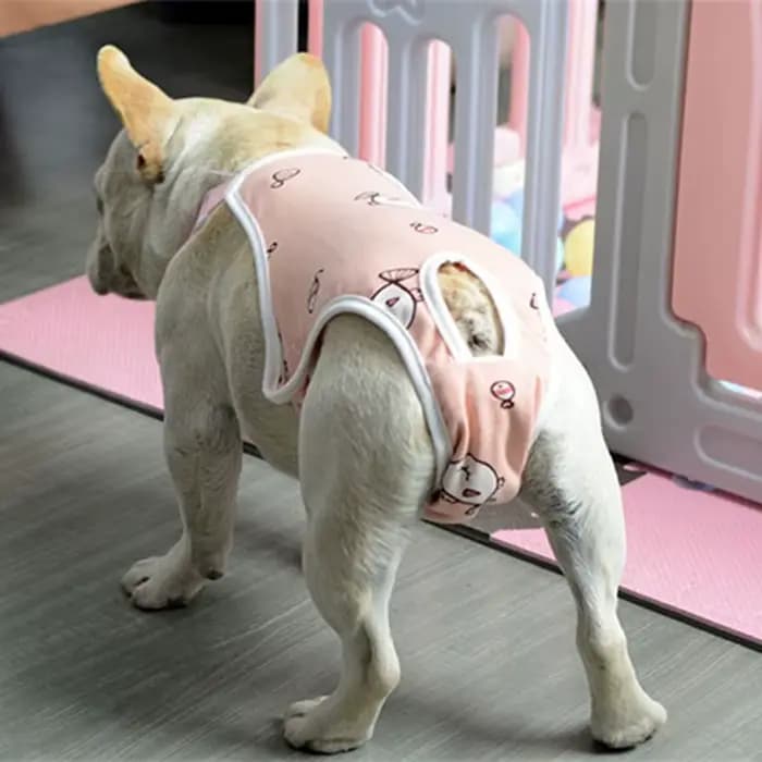 Pantalon physiologique réglable pour bouledogue français, sangle initiée par l'animal de compagnie,