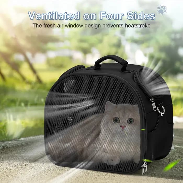 Transporteur pour animaux de compagnie, sac à dos portable approuvé par la compagnie aérienne pour chat, design en maille respirante, léger pour petit à moyen
