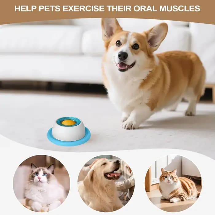 Accessoires d'alimentation pour animaux de compagnie, jouets pour chiens, jouets de puzzle pour chiots, distributeur de nourriture lent pour chiots, fournitures pour chiots pour une alimentation saine