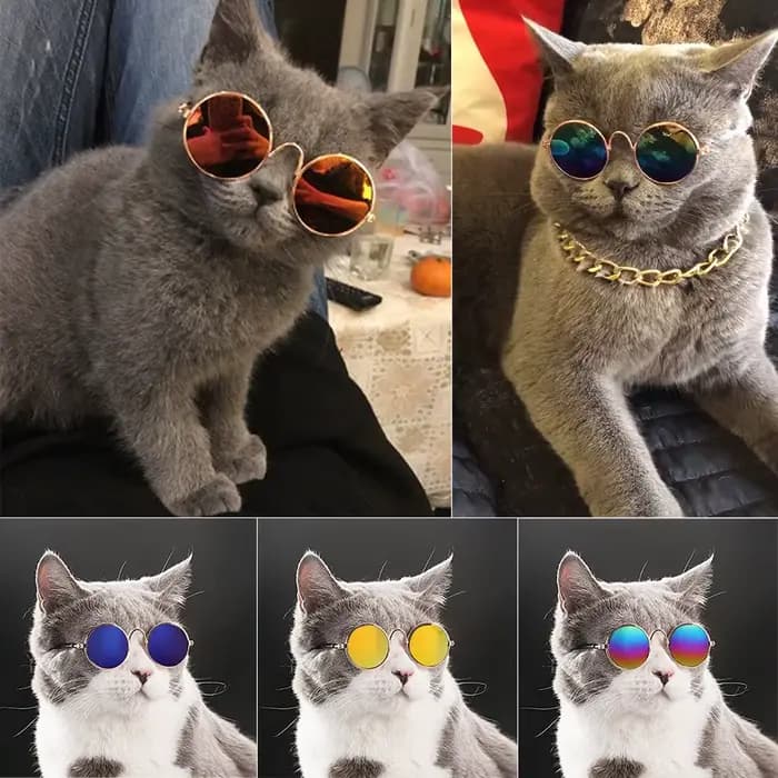 Lunettes rondes Vintage pour animaux de compagnie, accessoires pour chats, accessoires de Photos pou