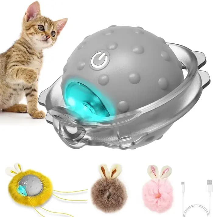 Jouets interactifs pour chats à activation par mouvement