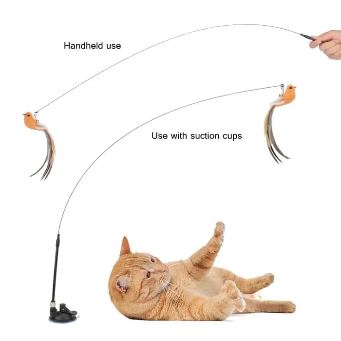 Jouet interactif de Simulation d'oiseau pour chat, avec ventouse, plume amusante pour chaton, exerci