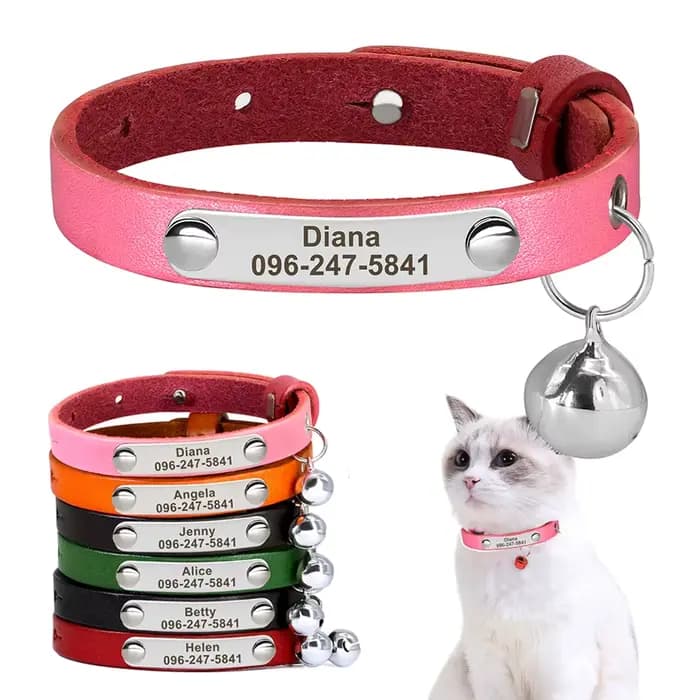Collier de chat avec plaque signalétique personnalisée, collier de sécurité personnalisé pour chat,
