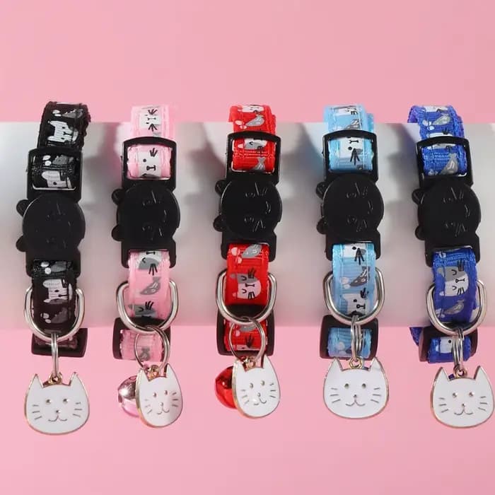 Collier réglable pour chat avec boucle de sécurité