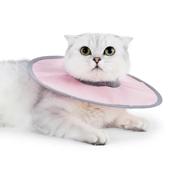 Collier de récupération pour animaux de compagnie
