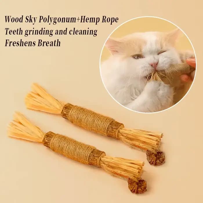 Jouets pour chat Silvervine bâton à mâcher Polygonum Kitty raphia herbe fournitures pour animaux de compagnie nettoyage