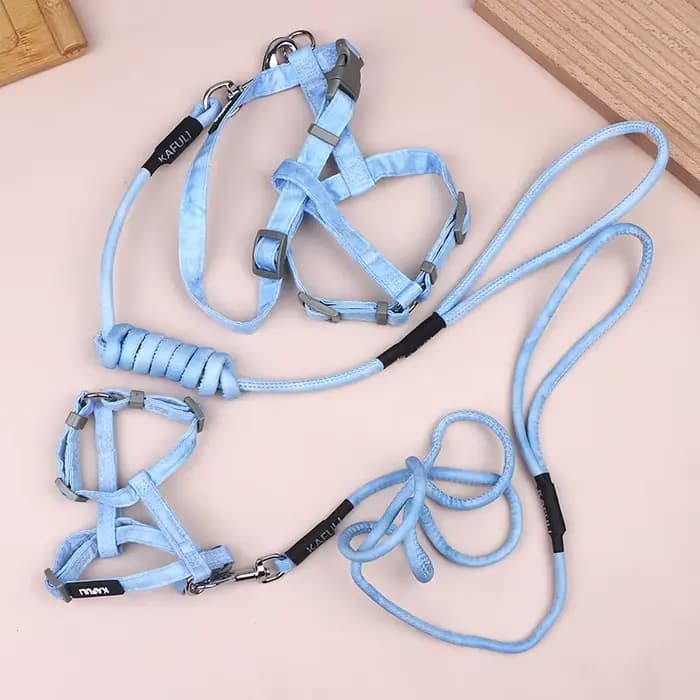 Harnais pour chaton réglable anti-évasion en tissu doux avec collier, laisse et accessoires de traction pour petit chat d'extérieur