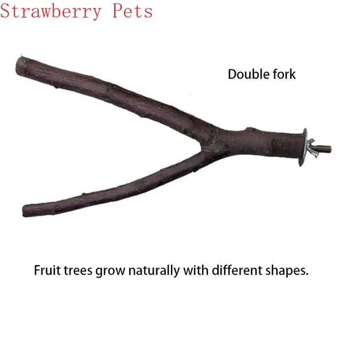 Parrot en bois naturel pour animaux de compagnie, fourchette en bois brut, support de branche d'arbr