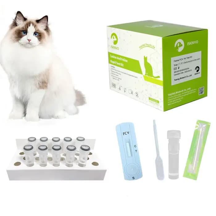 Kit de test d'infection à calnorvirus pour chat félin, vétérinaire à domicile, écouvillon nasal et o