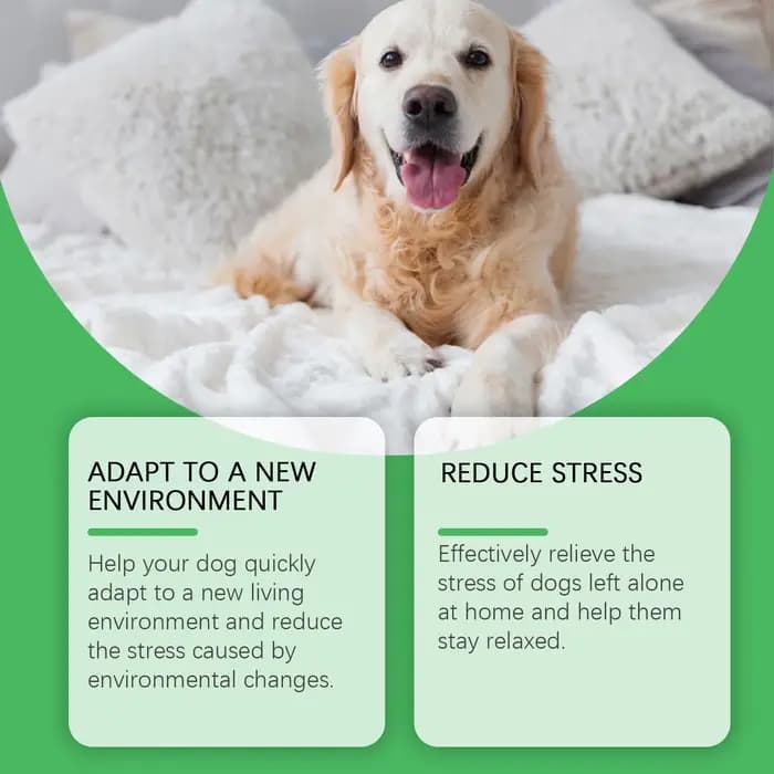 Phéromones pour animaux de compagnie diffuseur apaisant chat chien calme relaxant soulagement des émotions
