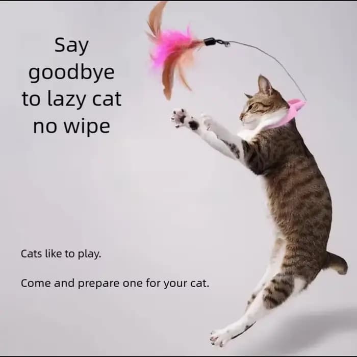 Nouveau produit : Collier jouet pour chat à plumes et clochette, pour auto-entretenement, Fournitures pour animaux de compagnie
