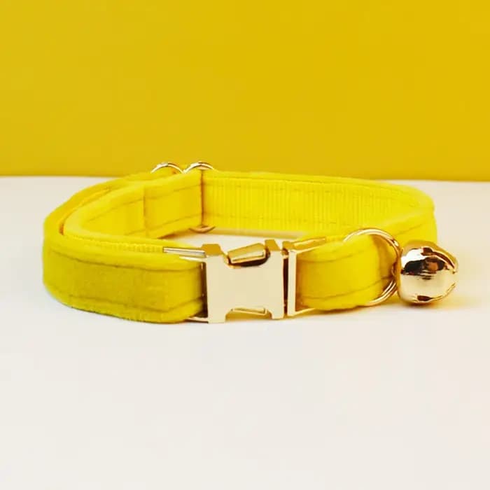 Collier pour chat en velours personnalisé avec étiquette d'identification