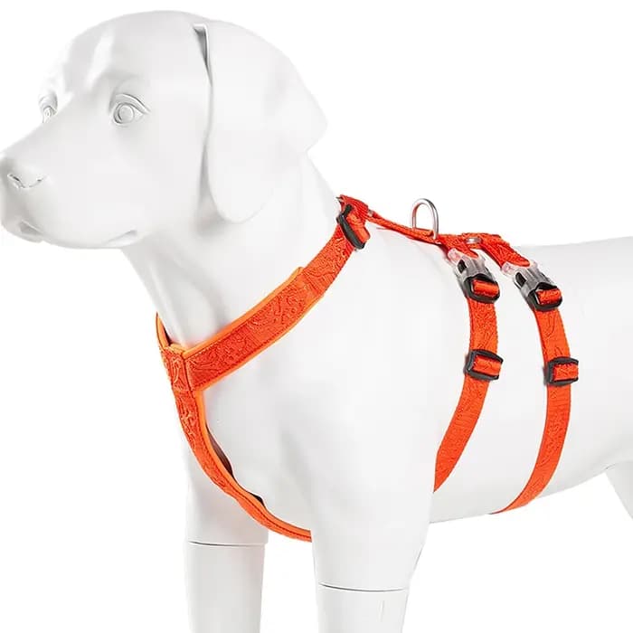 Nylon SFP Double-H personnalisé pour chien