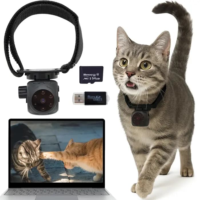 Collier de caméra pour chat
