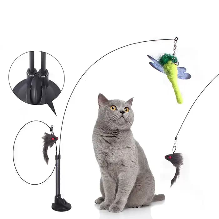 Jouets pour chat Simulation oiseau interactif ventouse plume oiseau avec cloche chat bâton jouet pou
