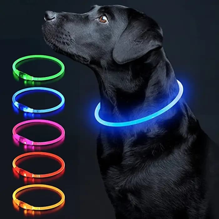 Collier de chien lumineux Led