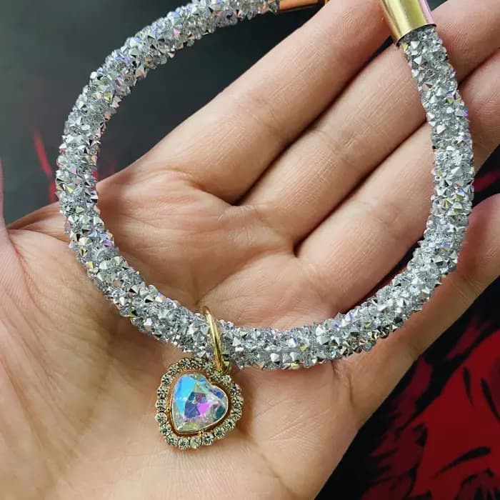 Collier réglable en métal pour animaux de compagnie