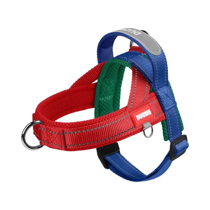 Harnais pour chiens, type selle