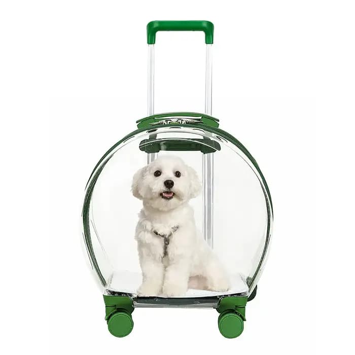 Chariot valise transporteur Transparent sac de transport pour animaux de compagnie chats transporteurs et poussettes