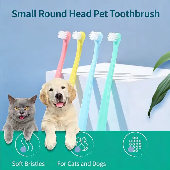 Brosse à dents à poils souples pour animaux de compagnie