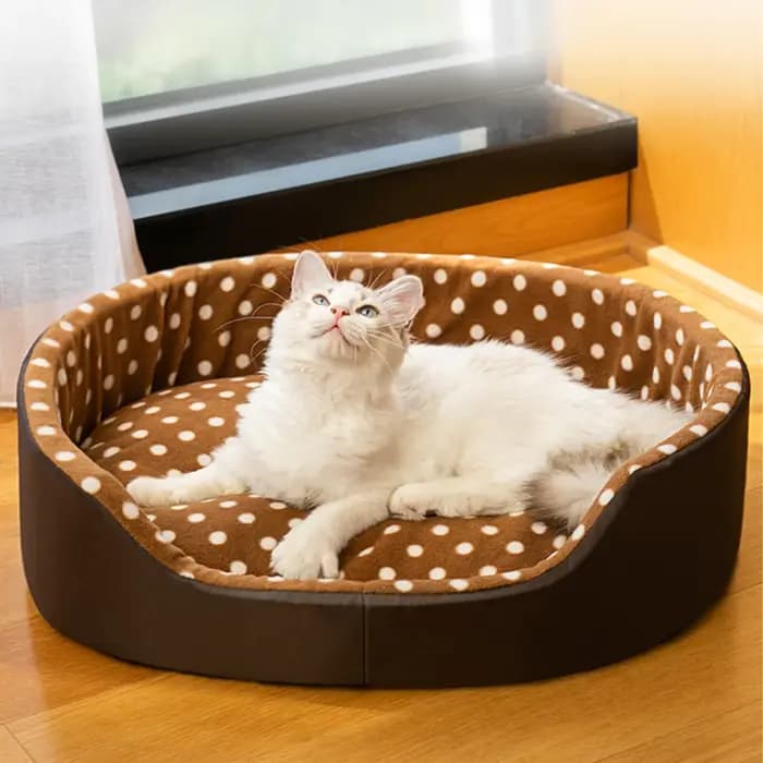 Lit pour chats, tampon éponge à pois