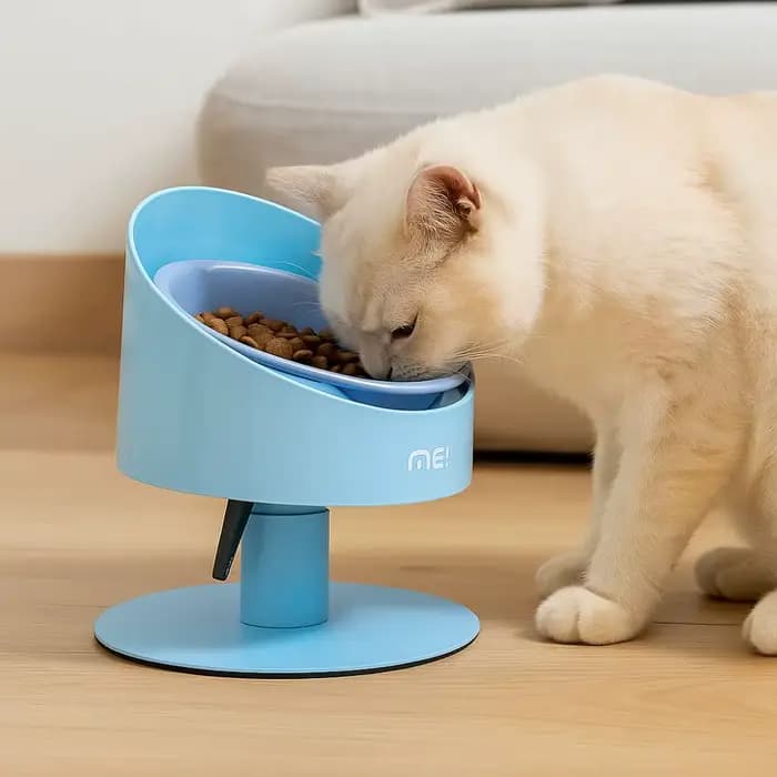 Bol pour nourriture pour chat