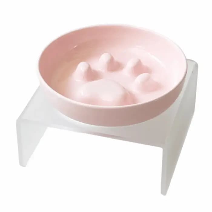 Bol à nourriture et à eau pour chat en céramique